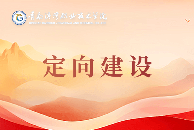 定向建设项目